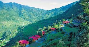 nainital pangot